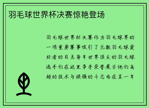 羽毛球世界杯决赛惊艳登场